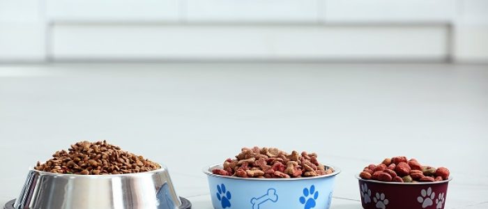 Pet food in metal bowls on a floor. Pet food in metal bowls on a floor.