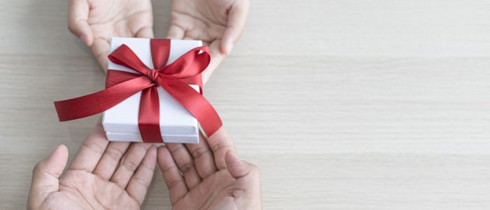 maria – 2023-03-08T145157.225 maria - 2023-03-08T145157.225