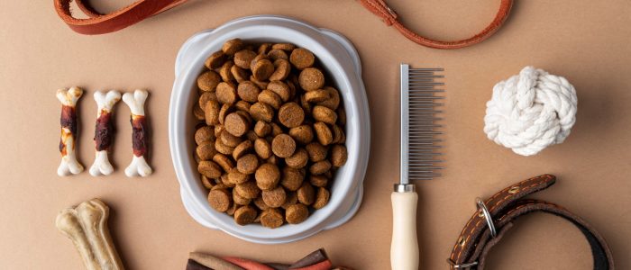 pet-accessories-still-life-with-food-bowl-treats pet-accessories-still-life-with-food-bowl-treats