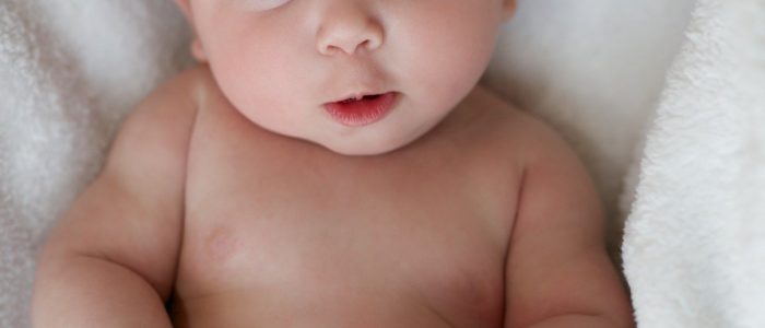 קניית עגלול באינטרנט – איך קונים נכון קניית עגלול באינטרנט – איך קונים נכון